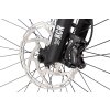 areon gx comp 29 2025 12