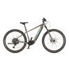 BICYKEL AUTHOR ELEVATION 29 ASL 2025 STRIEBORNÁ/ZELENÁ (Veľkosť rámu 19")