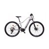 E-XC 29" STORM LITE D 36V veľ. 16", sivá-biela